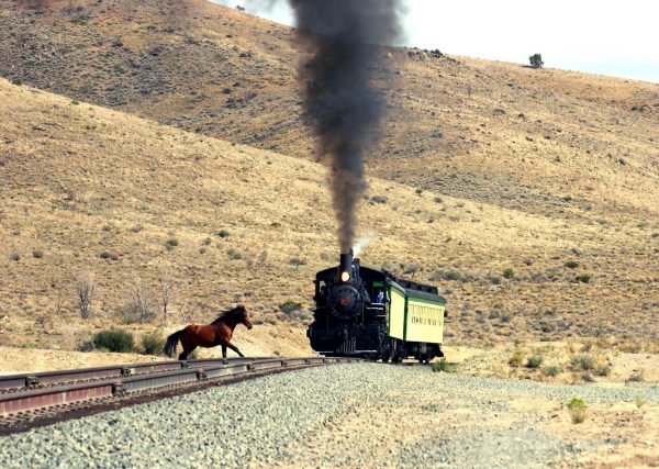 Wild Mustang Vs V&T Train SET