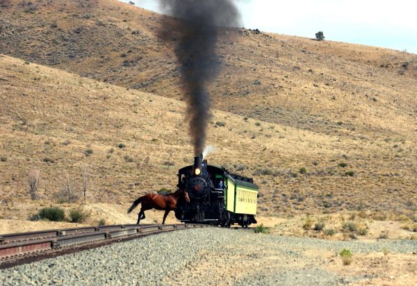 Wild Mustang Vs V&T Train SET - Image 2