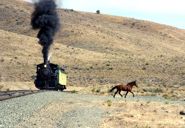 Wild Mustang Vs V&T Train SET - Image 3