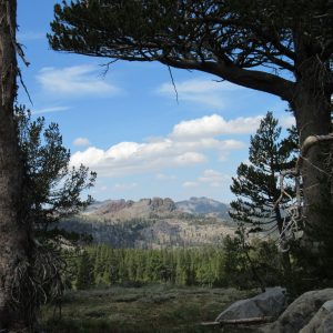 Carson Pass, California