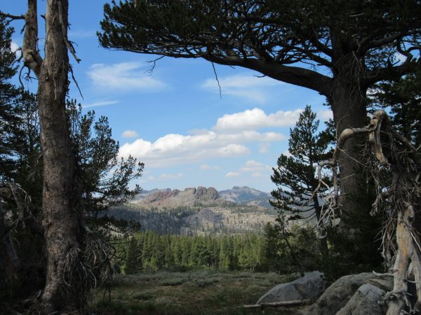 Carson Pass, California