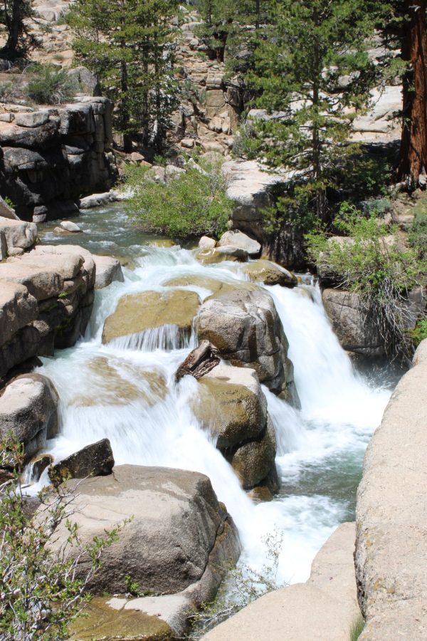 Leavitt Creek, California