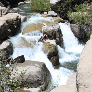 Leavitt Creek 2
